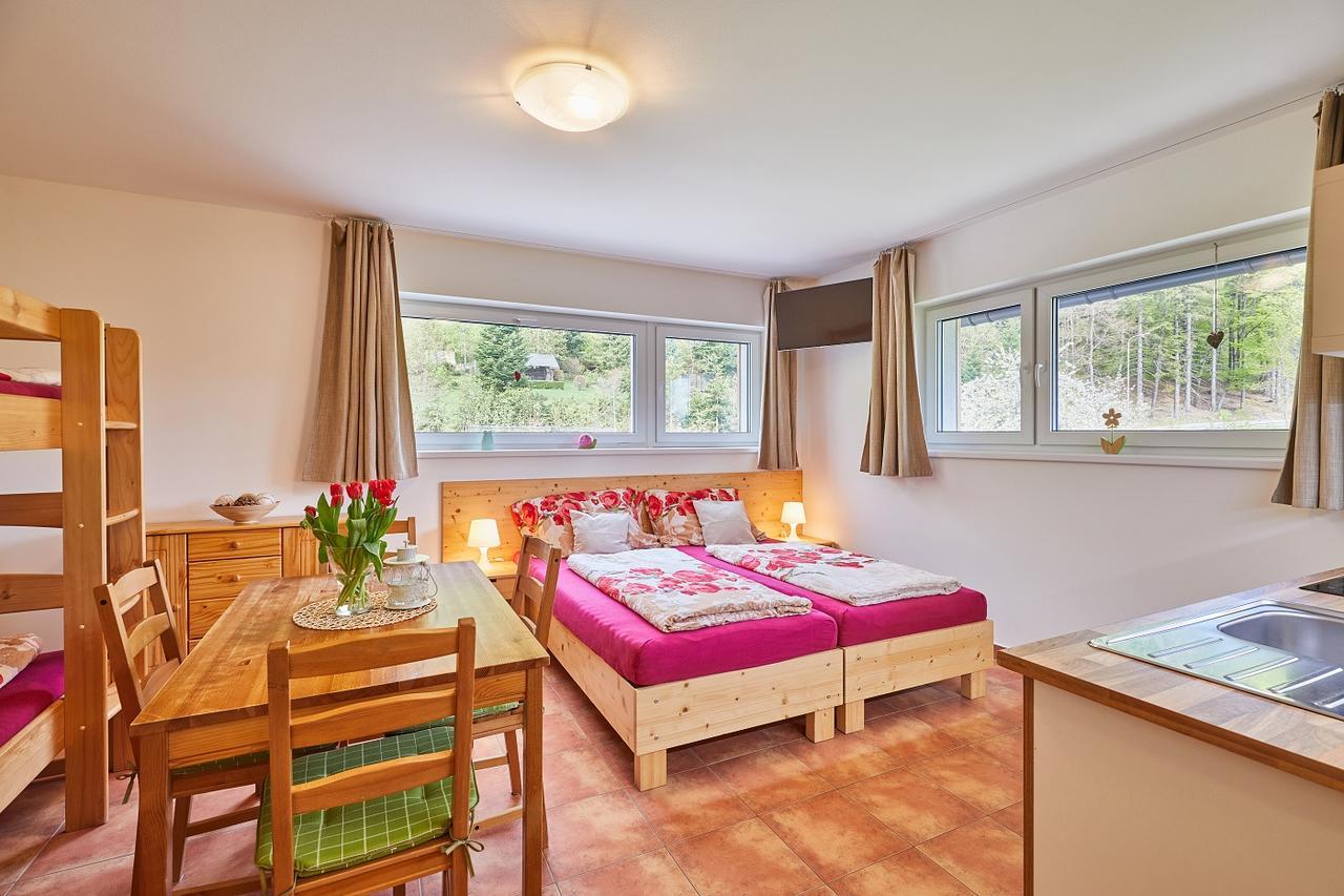 Skipension Janske Lazne Ngoại thất bức ảnh